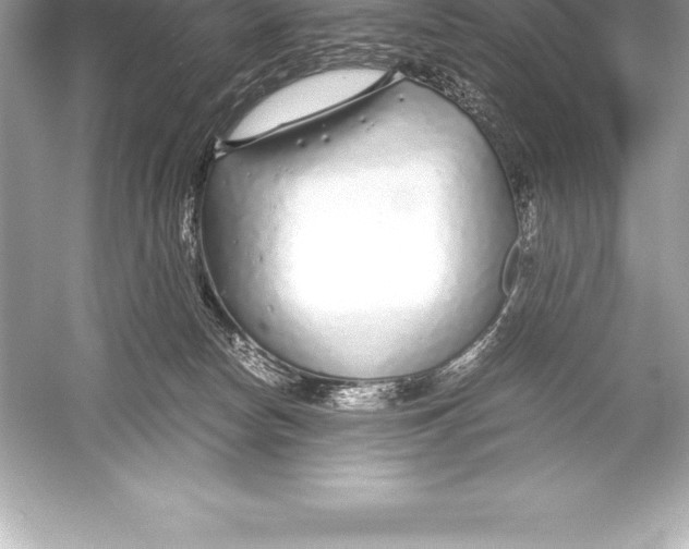 X0000051870178200507221933
