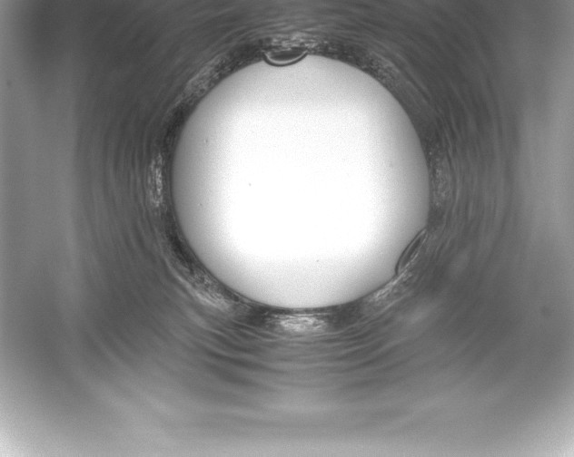 X0000051870183200507221933