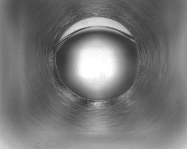 X0000051870184200507221933