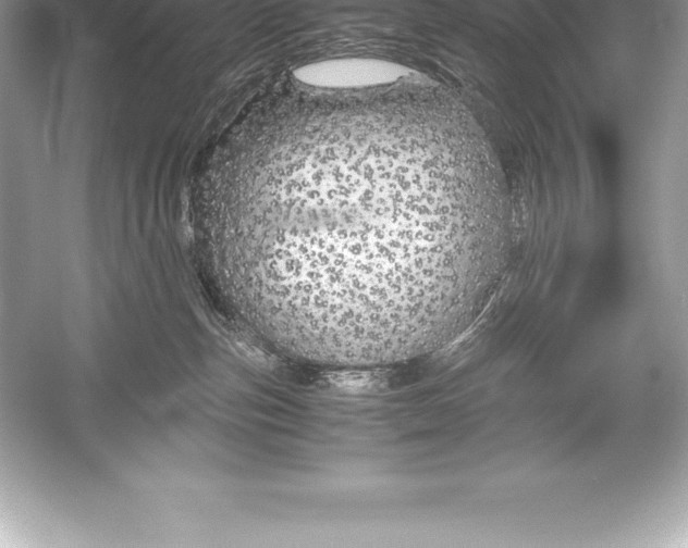 X0000051870187200507221933