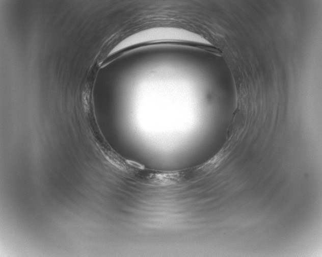 X0000051870188200507221933