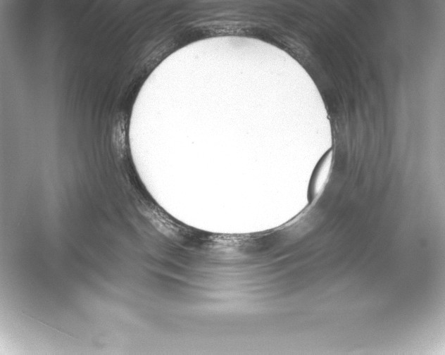 X0000051870190200507221933