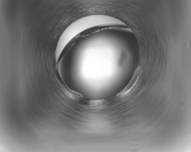 X0000051870192200507221933