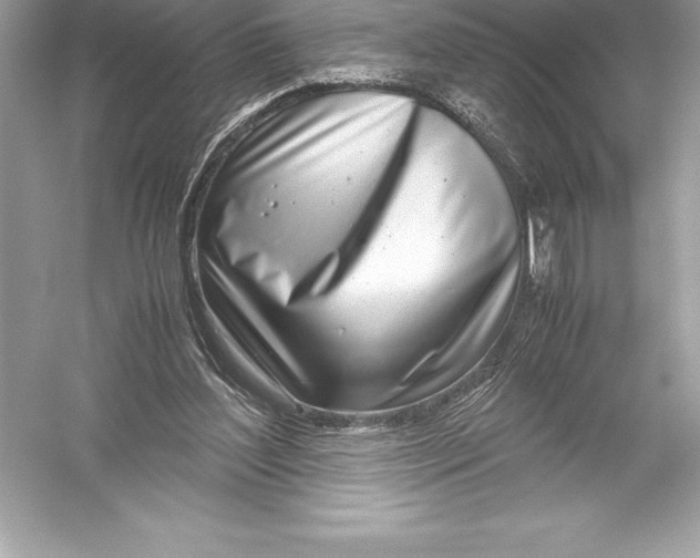 X0000051870204200507221932