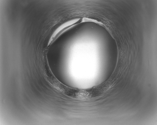 X0000051870215200507221932