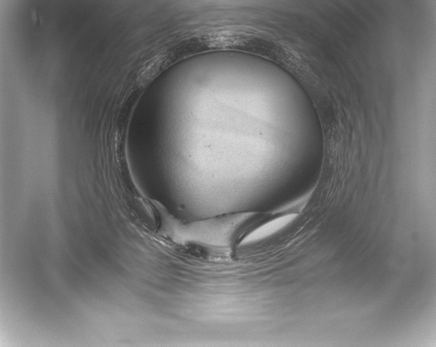X0000051870219200507221932