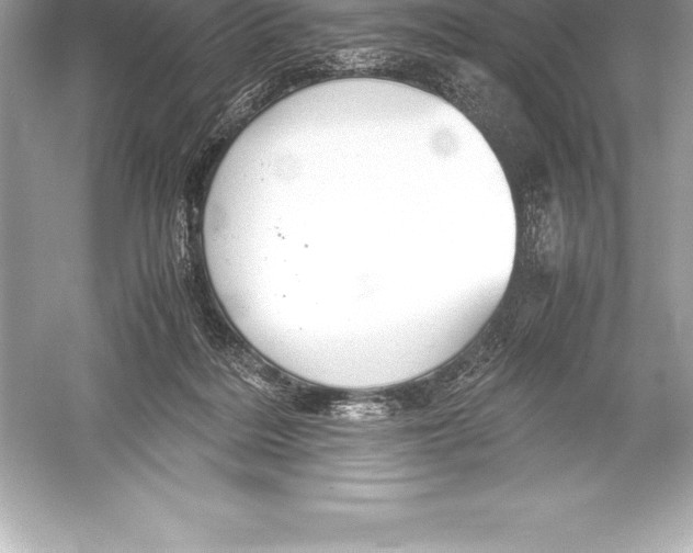 X0000051870220200507221932