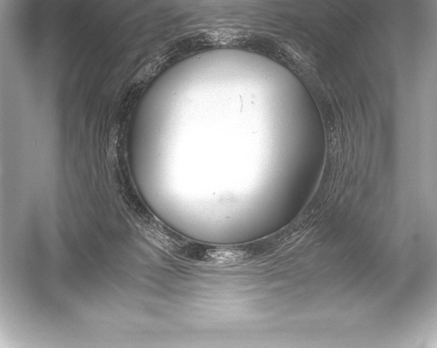 X0000051870221200507221932