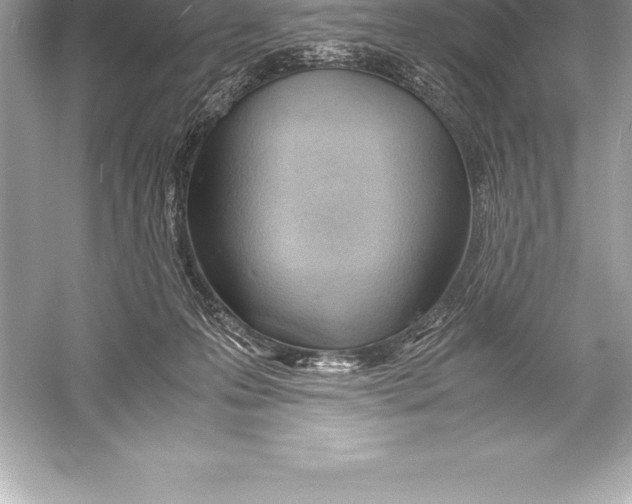 X0000051870223200507221932