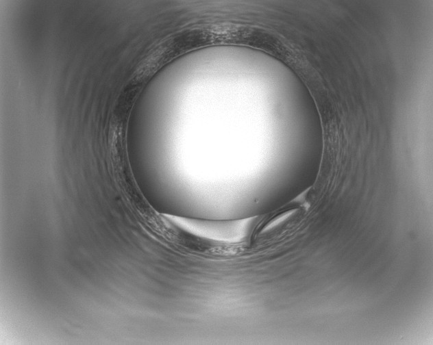 X0000051870225200507221932