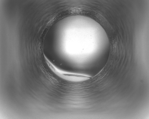 X0000051870228200507221932