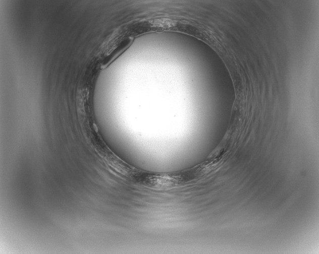 X0000051870229200507221932