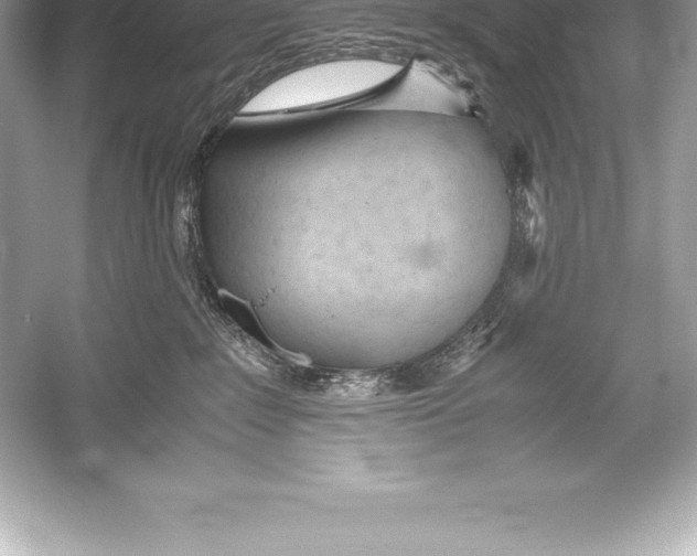 X0000051870235200507221931