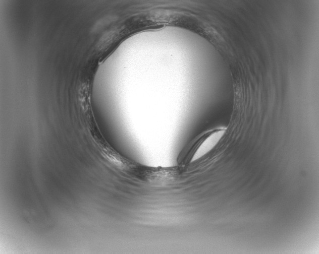 X0000051870237200507221931