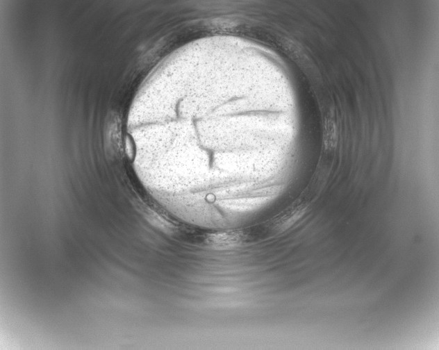 X0000051870238200507221931
