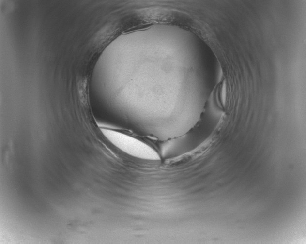 X0000051870239200507221931