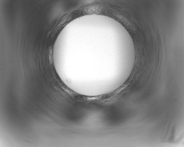 X0000051870240200507221931