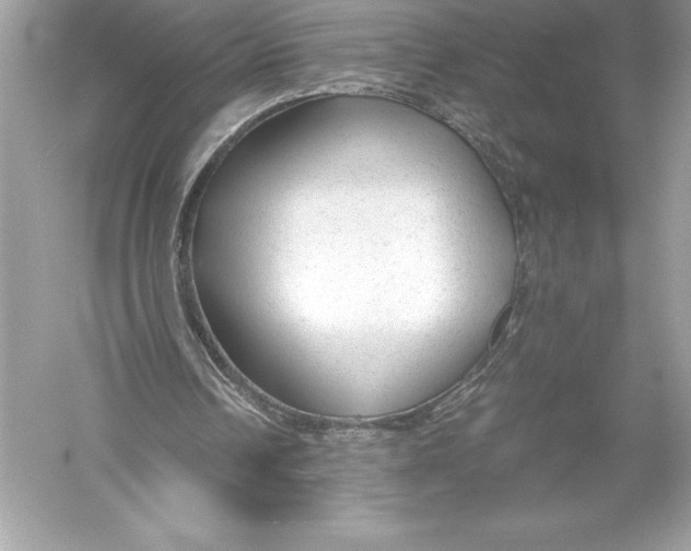 X0000051870242200507221931