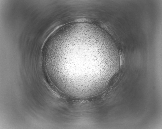 X0000051870243200507221931