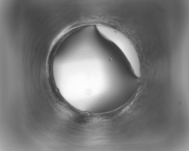 X0000051870246200507221931