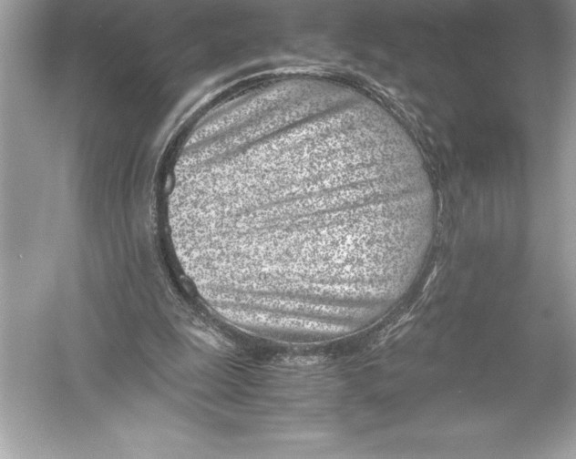 X0000051870247200507221931