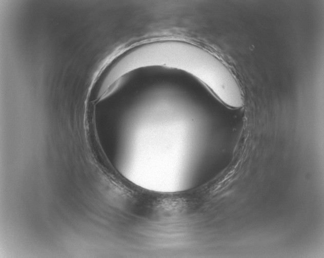 X0000051870248200507221931