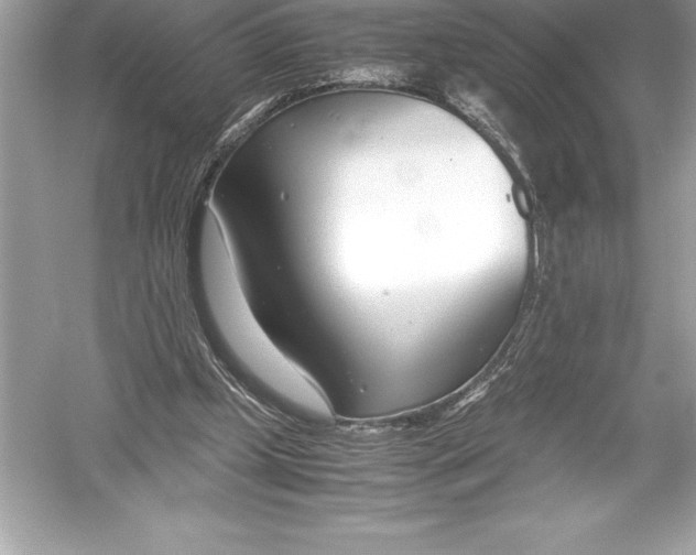 X0000051870249200507221931