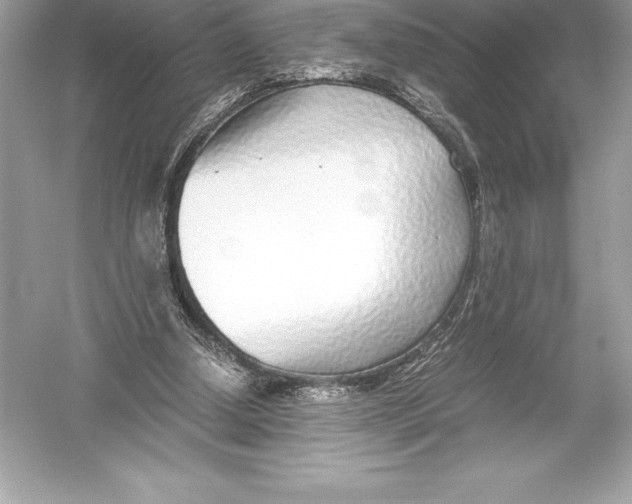 X0000051870250200507221931