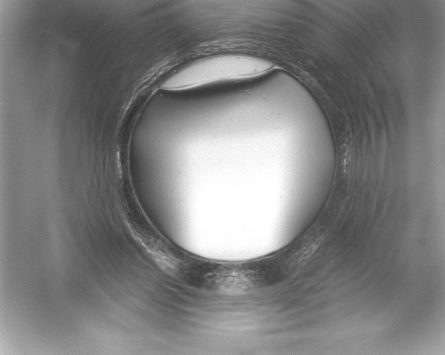 X0000051870254200507221931