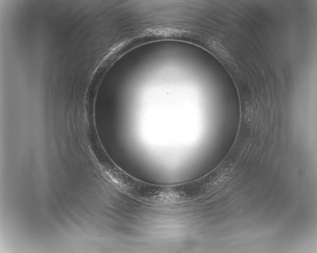 X0000051870256200507221931