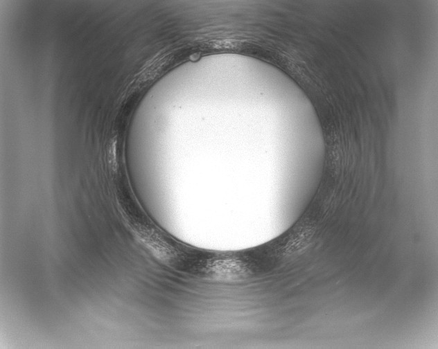X0000051870262200507221931