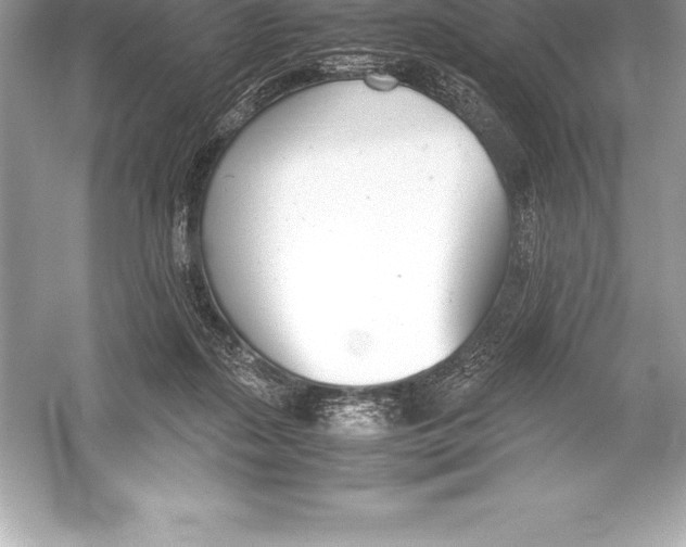 X0000051870267200507221931