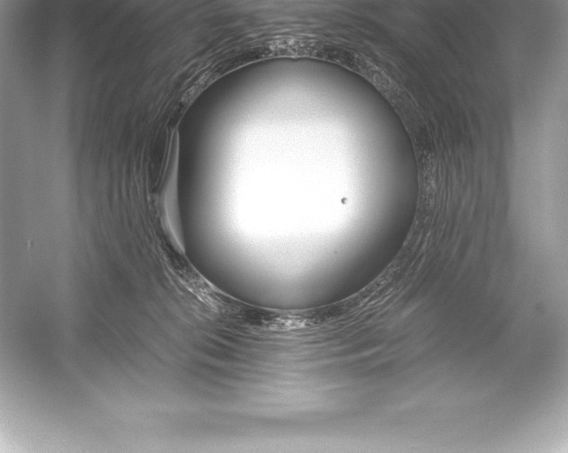 X0000051870276200507221931