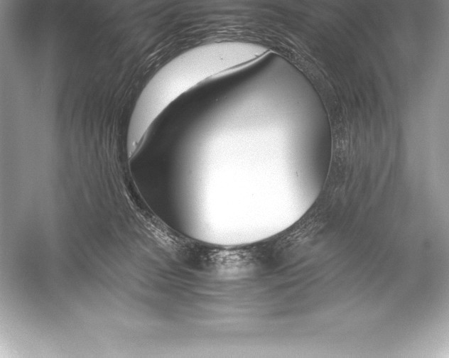 X0000051870277200507221931