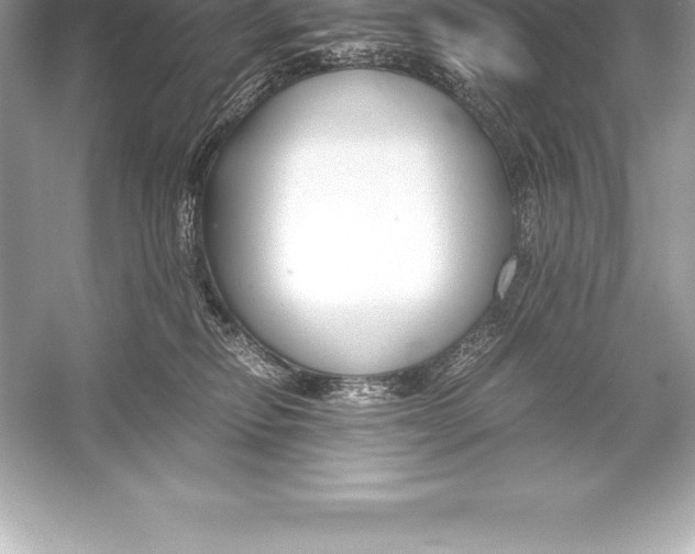 X0000051870278200507221931