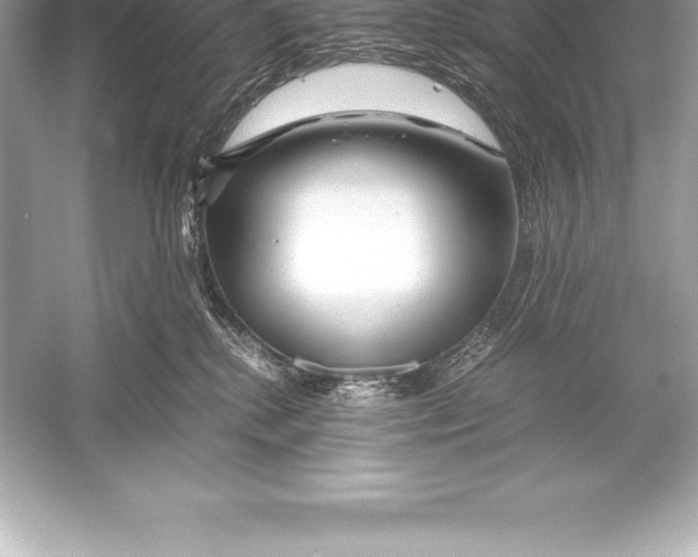 X0000051870280200507221931
