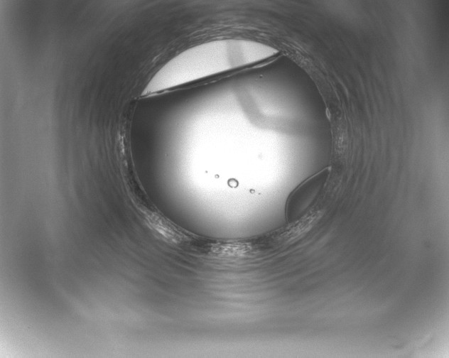 X0000051870282200507221931