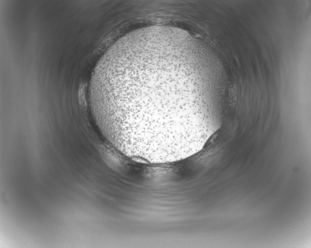 X0000051870286200507221931