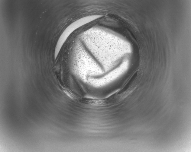 X0000051870288200507221931