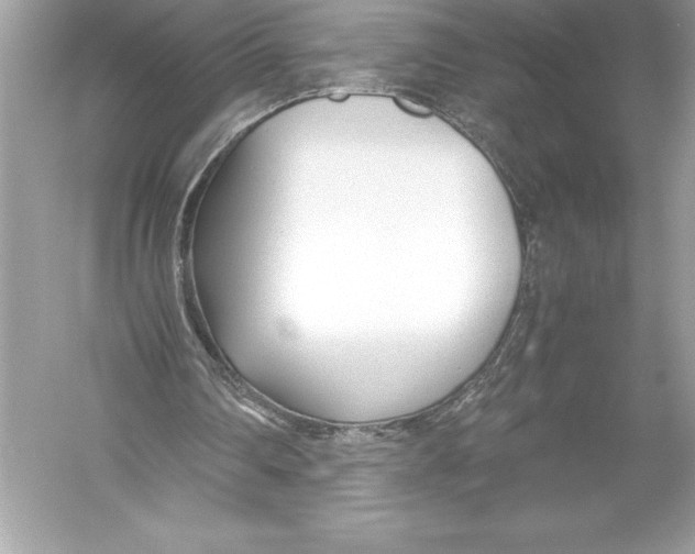 X0000051870290200507221930