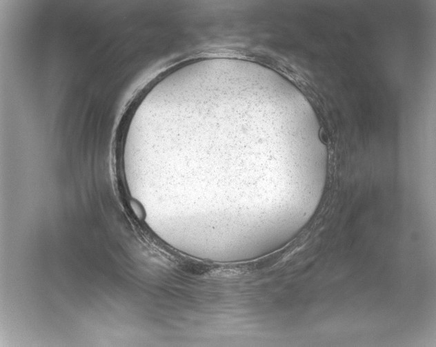 X0000051870294200507221930