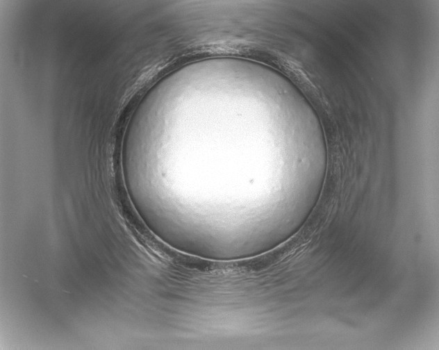X0000051870299200507221930