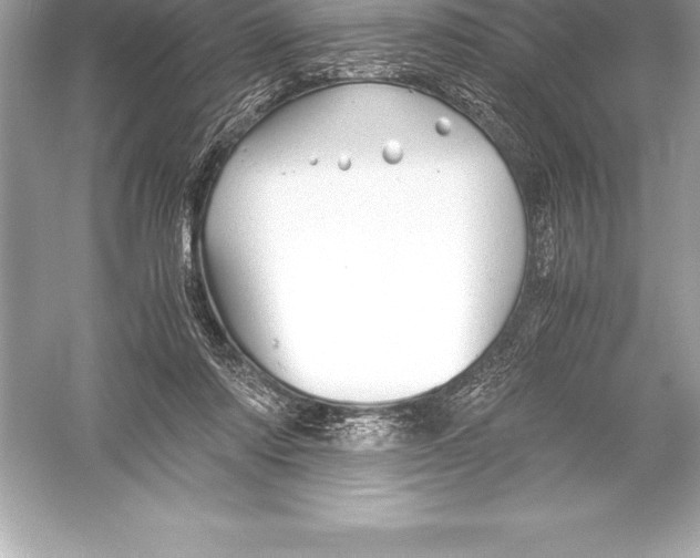X0000051870310200507221930