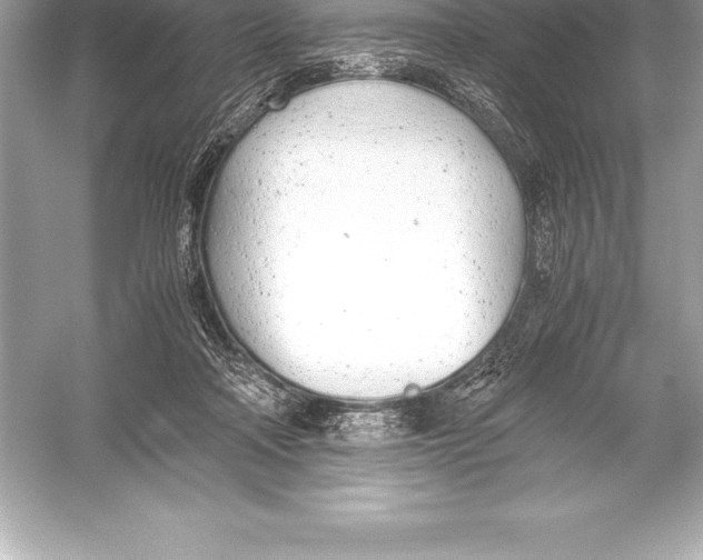 X0000051870314200507221930