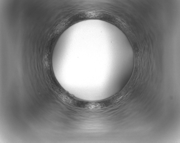 X0000051870317200507221930