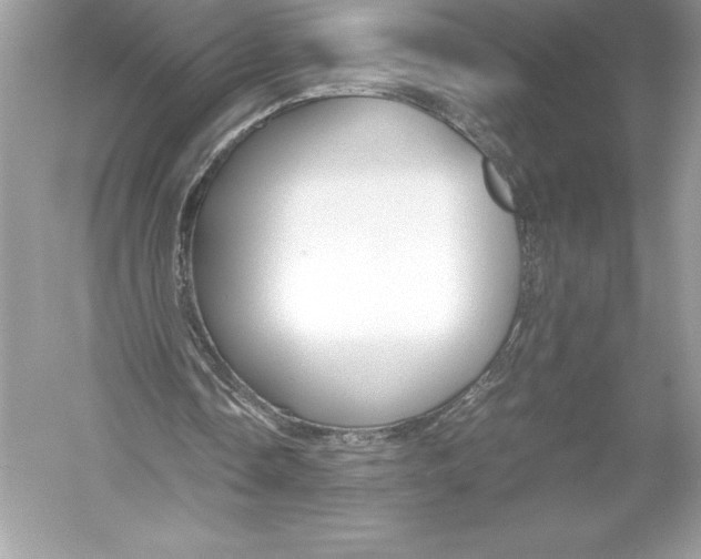 X0000051870338200507221929