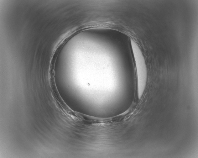 X0000051870340200507221929