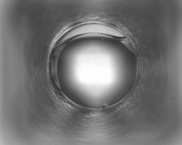 X0000051870344200507221929