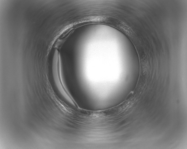 X0000051870350200507221929