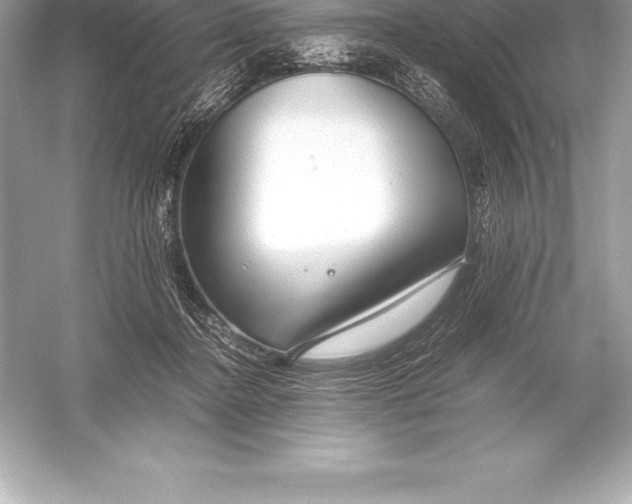X0000051870364200507221929